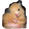 hamster 9