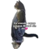 Yo Viendo Como... 14