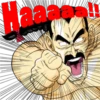 Dragon Ball 24