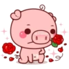 PINK PIG 2 18