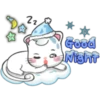 Snowy Cat 17