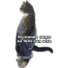 Yo Viendo Como... 15