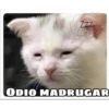 ZZZ
ODIO MADRUGAR