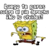 Todo está en la Técnica - Bob 13