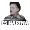 Harina (backdoor) 10