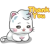 Snowy Cat 19