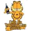 Frases Garfield 12
