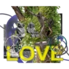 VaporXpress 2.0 19