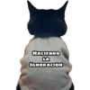 Random 20