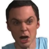 The Big Bang Theory 21