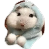 hamster 10