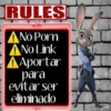 zootopia admi 9