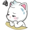Snowy Cat 20
