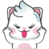 Snowy Cat 21