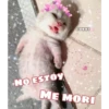 W
NO ESTOY
COKKI
ME MORI