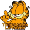 Frases Garfield 14