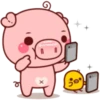 PINK PIG 2 22