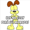 HOY NO ESTOY
PARÁ SUS MAMADAS
25