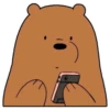 Grizzly (We Bear Bears) 13