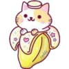 cokki