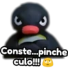 Conste...pinche
culo!!!