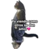 Yo Viendo Como... 17