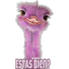 Vony
ESTAS Bien?