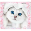 cokki