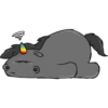 Grummeleinhorn 17