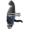 Yo Viendo Como... 18