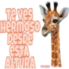 Mascotitas 21