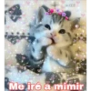 cokki
Me iré a mimir
