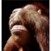 Facepalm 25