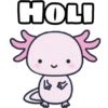 HOLI ྋཤ