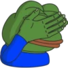 Facepalm 26