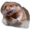 hamster 12