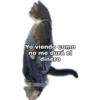 Yo Viendo Como... 19