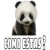 Mascotitas 22