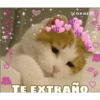 GRL
PWR
COKKI
TE EXTRAÑO
♡
09