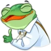 Mr. Frog 21
