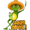 Mascotitas 24