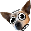 MASCOTAS MSG 15