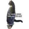 Yo Viendo Como... 20