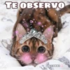 TE OBSERVO
Coor
|||
ÇOKKI
AS