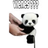 Mascotitas 25