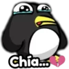 chia.