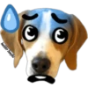 MASCOTAS MSG 18