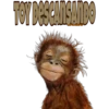 Mascotitas 26
