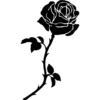 @LIBERATOMUSIC 17