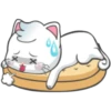 Snowy Cat 27